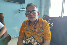 Mina Padi Tersendat SDM dan Pola Konsumsi, DPPP Akui Tantangan Bukan di Alam