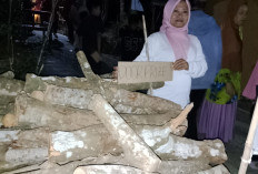 Unik! Warga Banjarpanepen Banyumas Dapat Doorprize Kayu Bakar, Hadiah HUT RI Dipilih Sesuai Potensi Desa