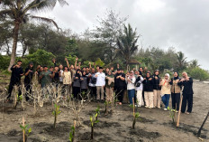 Kawasan Pantai Kaliratu Jogosimo Dihijaukan