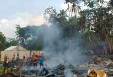 Kandang Ayam di Kotayasa Banyumas Terbakar, Kerugian Capai Rp212 Juta