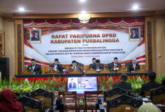 Pidato Presiden Soroti Ekonomi Desa, Purbalingga Diminta Perkuat UMKM