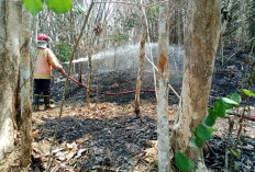 Karhutla Hanguskan 2,5 Hektare di Banyumas, Api Mendekati Permukiman Warga