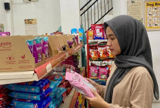 Perawatan Anabul Komplit dari Grooming Sampai Vaksinasi Anabul di Moezza Petshop