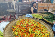 BPS Purbalingga Pantau Gejolak Harga Lewat IPH, Cabai Rawit Sumbang Kenaikan Tertinggi
