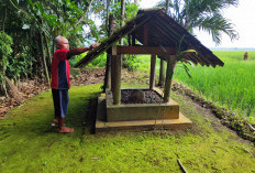 Mitos, Mistis, dan Jejak Ambisi di Tapal Batas: Menguak Misteri Situs Tanah Raja Desa Bakulan