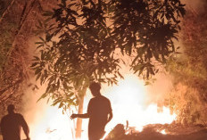 Karhutla Banyumas Hanguskan 47,2 Hektare, 13 Kejadian Terjadi Dua Pekan Terakhir