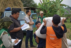 Stok Beras Banyumas Aman Jelang Lebaran, Bulog Kuasai Lebih dari 56 Ribu Ton