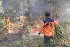 Karhutla Banyumas Capai Sembilan Kasus, Lahan Kering Terbakar hingga 10 Hektare