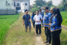 Proyek Sekolah Nasional Terintegrasi Rp250 Miliar di Purbalingga Mulai Disiapkan