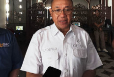 Sadewo Bidik Banyumas Jadi Sentra Gula Semut Dunia, Dorong Budidaya Kelapa Genjah