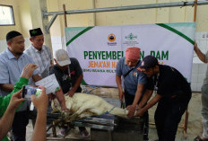 312 Jemaah Haji Purbalingga Laksanakan Dam di RPH, Gerakkan Ekonomi Peternak Lokal