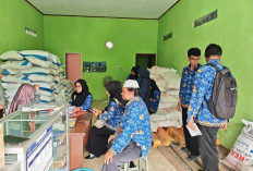 Stok Pupuk Bersubsidi Mulai Menipis, Dinpertan Pastikan Distribusi Masih Aman
