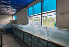 Krisis SDM dan 75 Persen Kolam Bermasalah Jadi Kendala Kinerja UPTD Perikanan Purbalingga