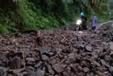 Hujan Deras di Purbalingga, Longsor Terjadi di Desa Sirau dan Debit Air di Objek Wisata Curug Nini Naik