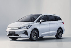 Interior Super Luas dan Teknologi Canggih! Intip Fitur Andalan BYD M6