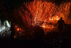 Api Bakar Setengah Hektare Bukit Suruh Wangon Banyumas, Angin Kencang Hambat Pemadaman 