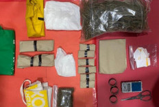 Setengah Kilo Ganja Siap Edar Diamankan dari Warga Wangon Banyumas, Polisi Buru Jaringan Pemasok