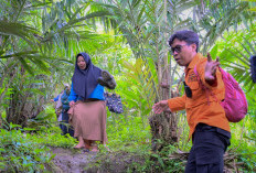 Sirene EWS Berbunyi, Warga Margasari Banjarnegara Panik Lalu Evakuasi Mandiri