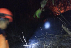 Kebakaran Hutan Alas Batur Purbalingga Padam, 1,7 Hektare Lahan Terbakar