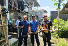 Ular Sepanjang 3 Meter Masuk Rumah di Baturraden Banyumas, Warga Sempat Panik