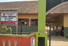 Dua Tahun SDN 1 Tambaksogra Tanpa Guru PJOK, 325 Siswa Belajar Olahraga Diampu Guru Kelas