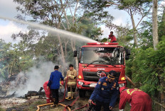 Diduga Kelalaian Saat Bakar Sampah, Lahan di Tegalkamulyan Cilacap Selatan Terbakar