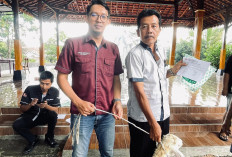 Universitas Amikom Kurban Dua Sapi dan Sepuluh Domba