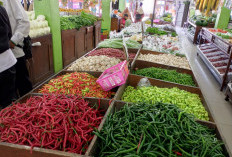 Harga Cabai di Purbalingga Naik Tajam, Cabai Merah Besar Tembus Rp51.500 per Kilogram