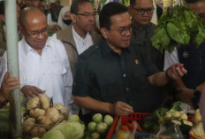 Mendag Pantau Harga Pangan di Pasar Manis Purwokerto, Cabai hingga Daging Ayam Dinilai Masih Stabil