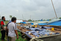 Kerugian Bencana Angin Kencang di Padamara Capai Rp 2,96 Miliar, 30.900 Ayam Mati dan 48,8 Ton Telur Pecah
