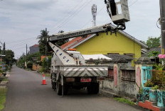122 Titik PJU Baru Dipasang, Jalanan Cilacap Makin Terang dan Aman