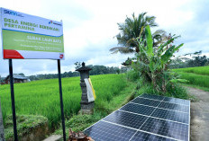 Pertamina Perkuat Budaya Hemat Energi, dari Kantor hingga Program untuk Masyarakat