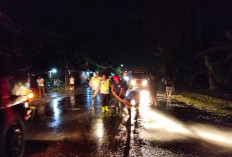 Semen dari Truk Molen Tumpah, Akibatkan Jalan Nasional Cimanggu Cilacap Licin 