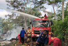 Hingga Juni 2026. Terjadi 50 Kasus Kebakaran di Cilacap