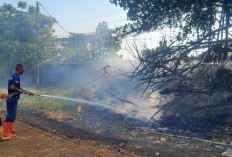 Lahan Lapangan Porka Purwokerto Barat Terbakar, Api Padam Dalam 23 Menit