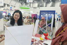 FK UMP Perluas Jejaring di Korea Selatan, Promosikan Kedokteran Herbal dan Bidik Mahasiswa Internasional