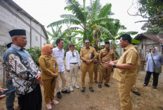 Jaga Air Tanah dari Rumah, Pemprov Jateng Gelorakan Gerakan Sak Omah Sak Sumur Resapan