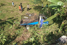 Sopir Truk Tabrak Lari di Banyumas Ditangkap, Satu Penumpang Pikap Meninggal, Lima Korban Masih Dirawat
