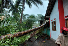 Cuaca Ekstrem Rusak 35 Rumah di Banyumas, Angin Kencang Terjang Empat Kecamatan