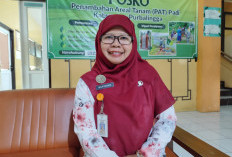 Upaya Perluasan Budidaya Tembakau di Purbalingga Belum Maksimal, Petani Lebih Pilih Tanaman Pangan