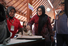 Vaksin Rabies Gratis Diserbu Pemilik Hewan, 300 Dosis Disiapkan Di Pendopo Wakil Bupati Banyumas