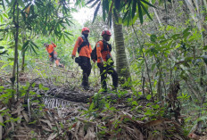 Hari Keenam, Pencarian Lansia Hilang di Banyumas Masih Nihil,  Tim SAR Sisir Hutan Pekuncen