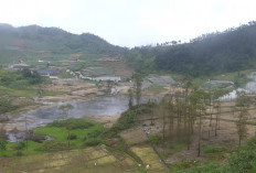Gunung Dieng Naik Level II Waspada, Kawah Sileri Ditutup