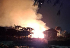 Kandang Ayam di Bukateja Purbalingga Terbakar, 30 Ribu Ekor Ayam Mati dan Kerugian Capai Rp 900 Juta