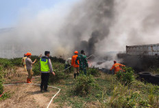 Tumpukan Ban Bekas di Area Persawahan Maos Cilacap Terbakar, Penyebab Belum Diketahui