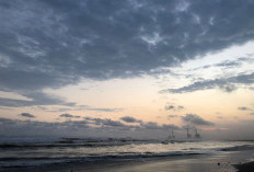 Pesona Tersembunyi di Dusun Bogemanjir: Menikmati Mahakarya Pasir Hitam dan Kanopi Cemara di Pantai Bunton