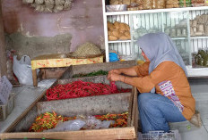 Harga Cabai Rawit Merah di Purbalingga Semakin Pedas