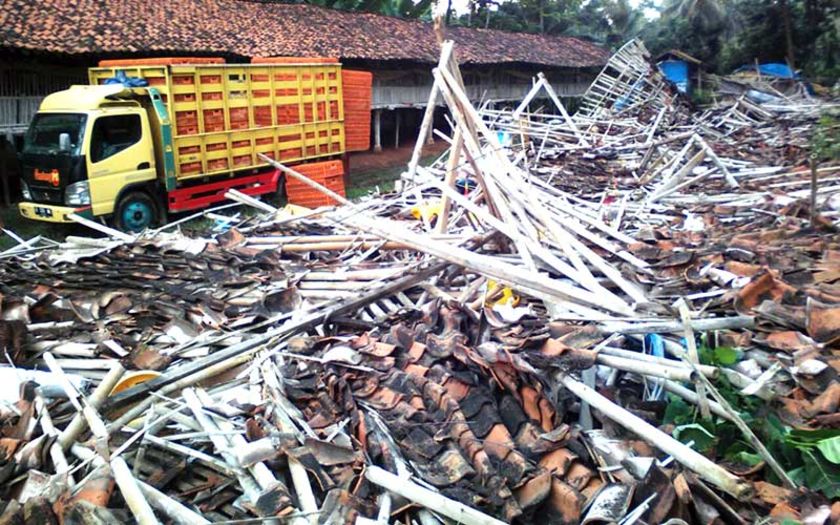 Diduga Bangunan Rapuh, Kandang Ayam Ambruk, Empat Karyawan Terluka