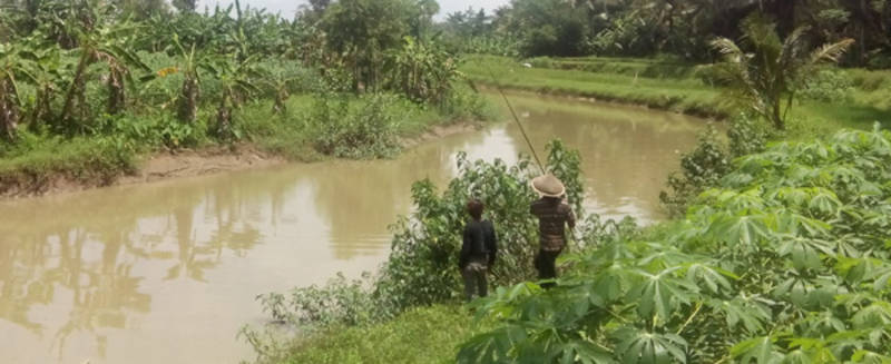 Warga Mulai Berani Mencari Kerang